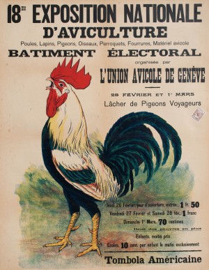 Exposition daviculture, Geneve, 1925